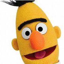 bert